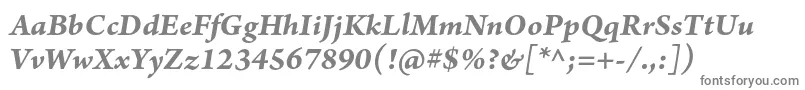 ArnoproBolditalicsmtext Font – Gray Fonts