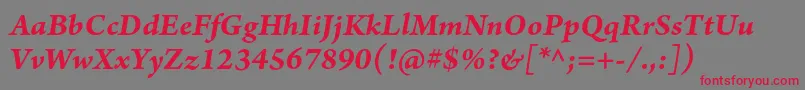 ArnoproBolditalicsmtext Font – Red Fonts on Gray Background