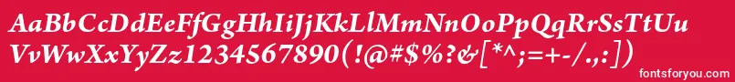 フォントArnoproBolditalicsmtext – 赤い背景に白い文字
