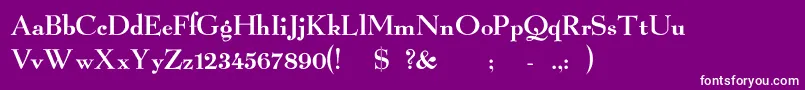 Owltone Font – White Fonts on Purple Background