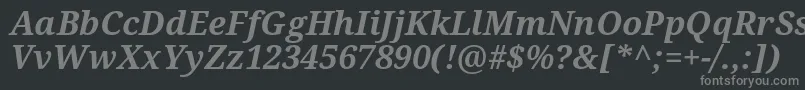 フォントNotoSerifBoldItalic – 黒い背景に灰色の文字