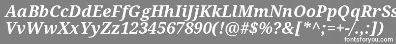 フォントNotoSerifBoldItalic – 灰色の背景に白い文字