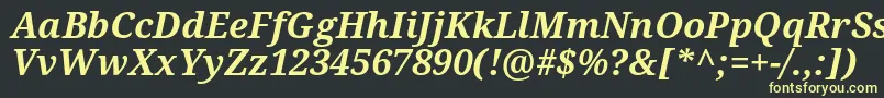 フォントNotoSerifBoldItalic – 黒い背景に黄色の文字