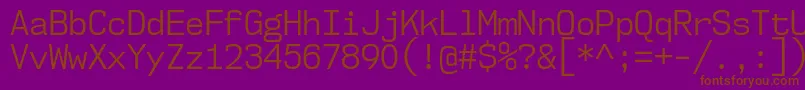 Nk57MonospaceScBk Font – Brown Fonts on Purple Background