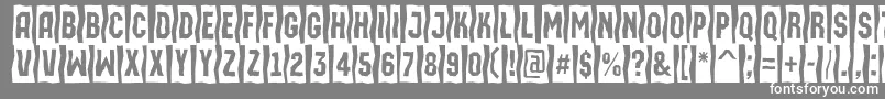 AMachinaortosls Font – White Fonts on Gray Background