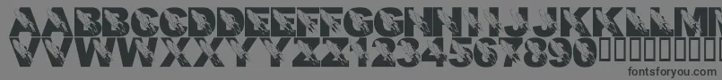 LmsRememberingSsColumbia Font – Black Fonts on Gray Background