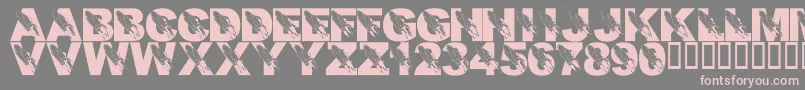 LmsRememberingSsColumbia-Schriftart – Rosa Schriften auf grauem Hintergrund
