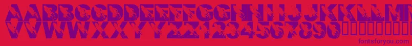 フォントLmsRememberingSsColumbia – 赤い背景に紫のフォント