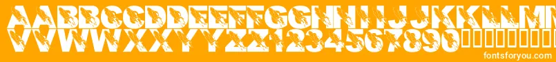 LmsRememberingSsColumbia-Schriftart – Weiße Schriften auf orangefarbenem Hintergrund