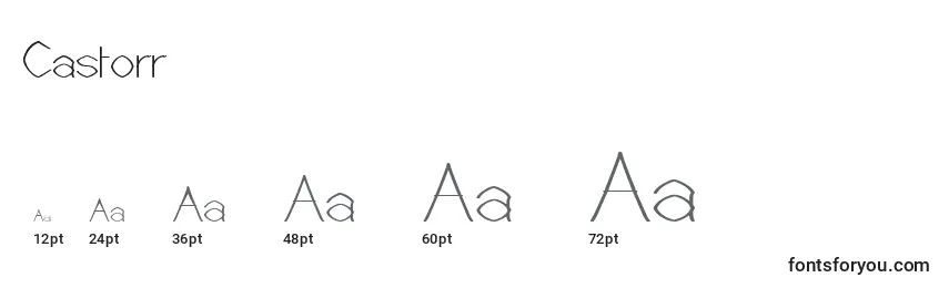 Castorr Font Sizes