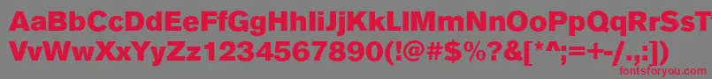 AnconaBlackRegular Font – Red Fonts on Gray Background