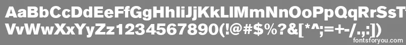 AnconaBlackRegular Font – White Fonts on Gray Background