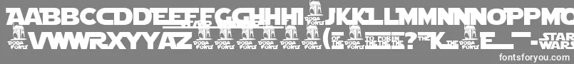 フォントStjldbl1 – 灰色の背景に白い文字