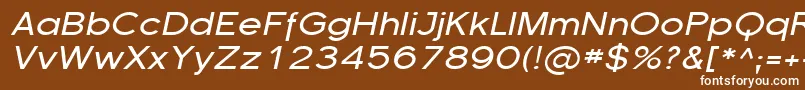Florsn16 Font – White Fonts on Brown Background