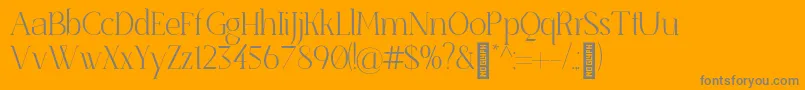 SenzabellaThin-Schriftart – Graue Schriften auf orangefarbenem Hintergrund