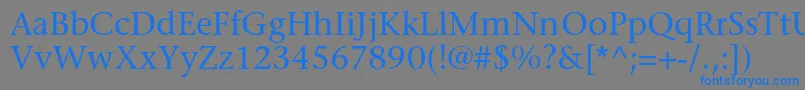 フォントStoneserifstdMedium – 灰色の背景に青い文字