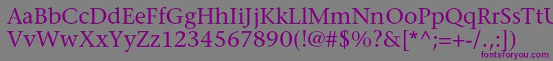 Шрифт StoneserifstdMedium – фиолетовые шрифты на сером фоне