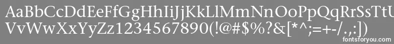 フォントStoneserifstdMedium – 灰色の背景に白い文字