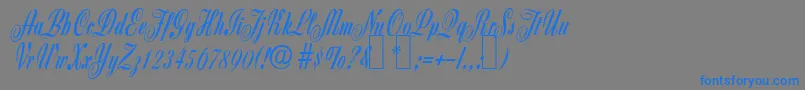 フォントZ650ScriptRegular – 灰色の背景に青い文字