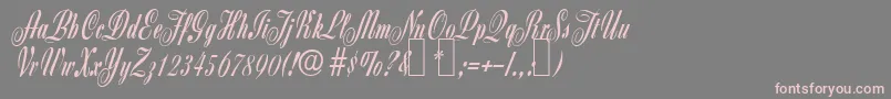 Z650ScriptRegular Font – Pink Fonts on Gray Background
