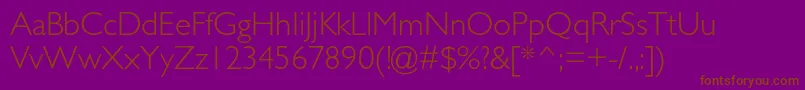 GillsansstdLight Font – Brown Fonts on Purple Background
