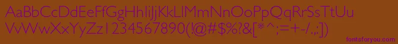 GillsansstdLight Font – Purple Fonts on Brown Background