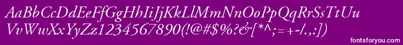 AdobeGaramondLtItalic Font – White Fonts on Purple Background