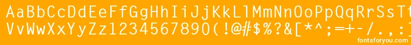MonospacedBold Font – White Fonts on Orange Background