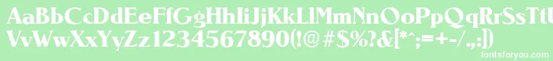 NevadaserialXboldRegular Font – White Fonts on Green Background