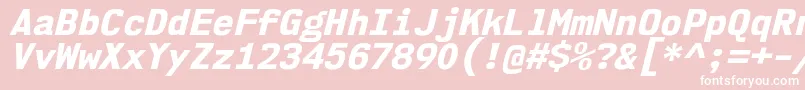 Nk57MonospaceNoEbIt Font – White Fonts on Pink Background