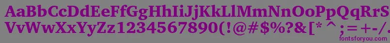 Charterblackc Font – Purple Fonts on Gray Background