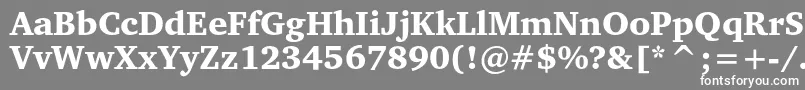 Шрифт Charterblackc – белые шрифты на сером фоне