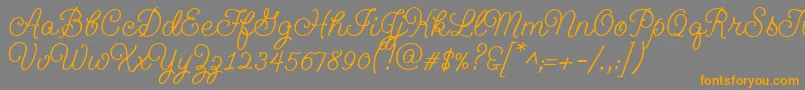 Geeohhmkbold Font – Orange Fonts on Gray Background