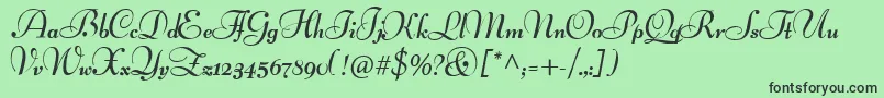 LucianSchoenschriftCat Font – Black Fonts on Green Background