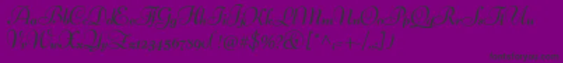 Weitere Informationen zur LucianSchoenschriftCat-Schriftart LucianSchoenschriftCat-Schriftart – Schwarze Schriften auf violettem Hintergrund