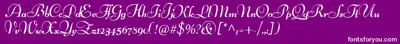 LucianSchoenschriftCat Font – White Fonts on Purple Background