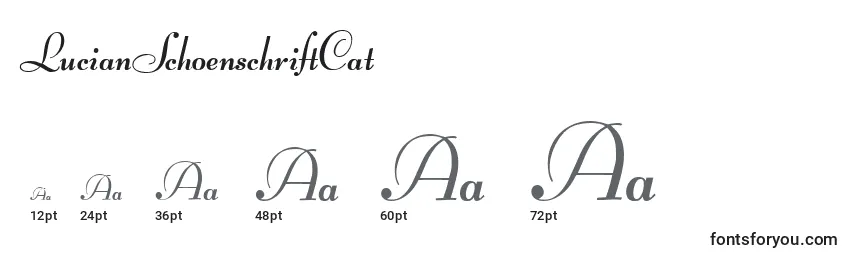 Размеры шрифта LucianSchoenschriftCat