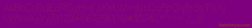 FauneDisplaythin Font – Brown Fonts on Purple Background