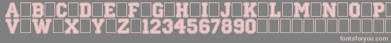 StitchnSchool-Schriftart – Rosa Schriften auf grauem Hintergrund
