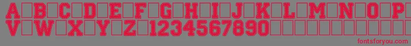 StitchnSchool Font – Red Fonts on Gray Background