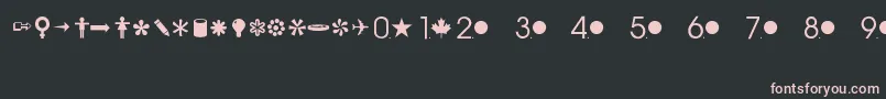 CommonbulletsRegular Font – Pink Fonts on Black Background