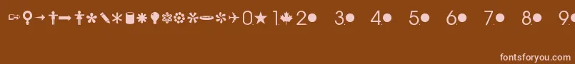 CommonbulletsRegular Font – Pink Fonts on Brown Background