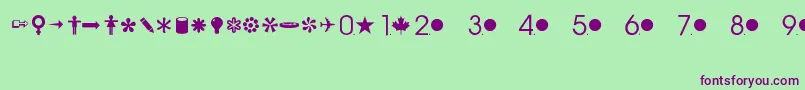 CommonbulletsRegular Font – Purple Fonts on Green Background