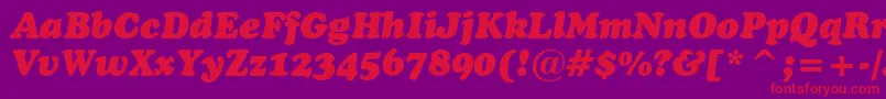 CooperBlackItalicHeadlineBt Font – Red Fonts on Purple Background