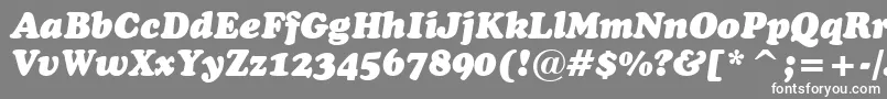 CooperBlackItalicHeadlineBt-Schriftart – Weiße Schriften auf grauem Hintergrund