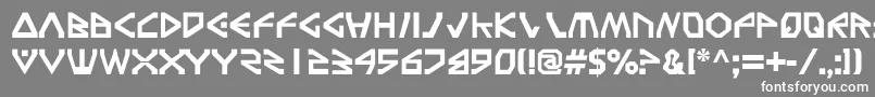 フォントTerra3 – 灰色の背景に白い文字