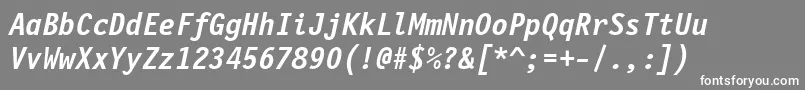 FinancialBoldOblique Font – White Fonts on Gray Background