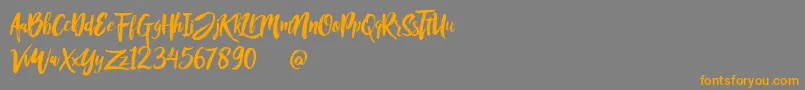 Rofitaste-Schriftart – Orangefarbene Schriften auf grauem Hintergrund