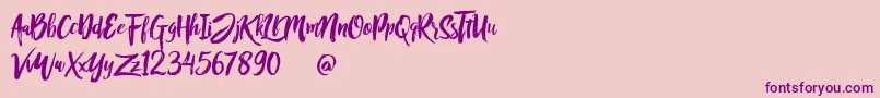 Rofitaste Font – Purple Fonts on Pink Background