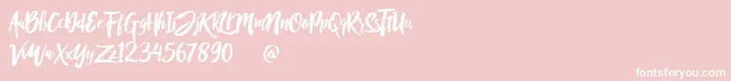 Rofitaste Font – White Fonts on Pink Background